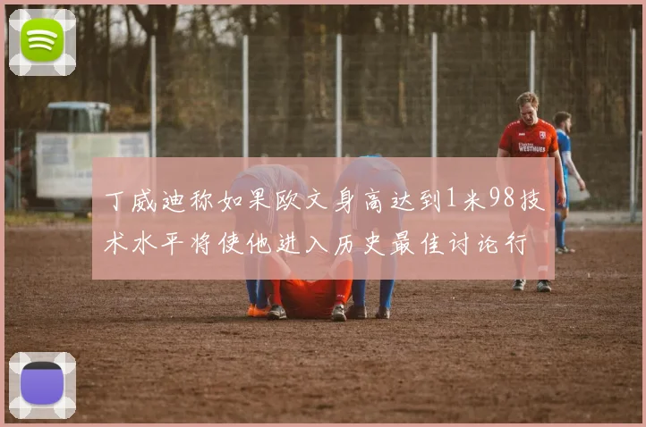 丁威迪称如果欧文身高达到1米98技术水平将使他进入历史最佳讨论行列