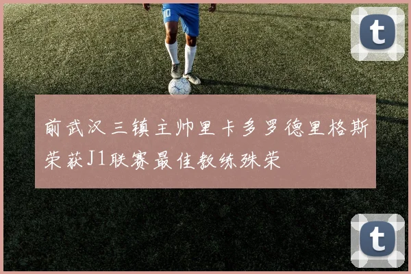 前武汉三镇主帅里卡多罗德里格斯荣获J1联赛最佳教练殊荣