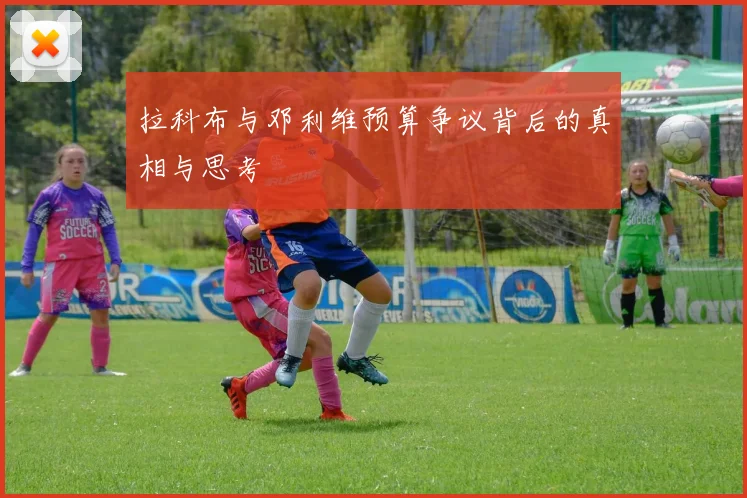 拉科布与邓利维预算争议背后的真相与思考